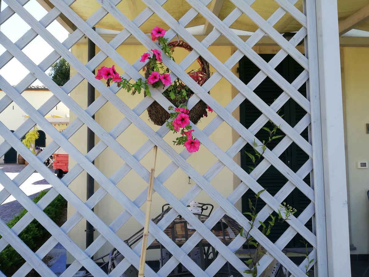 مونتفردي ماريتيمو B&B Canneto المظهر الخارجي الصورة